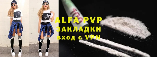 гидра Богородицк