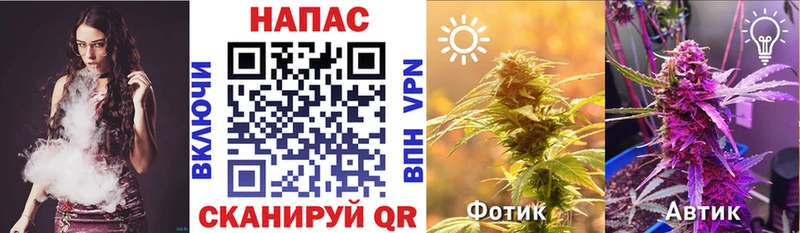 Купить закладки  Княгинино  Марихуана VHQ 